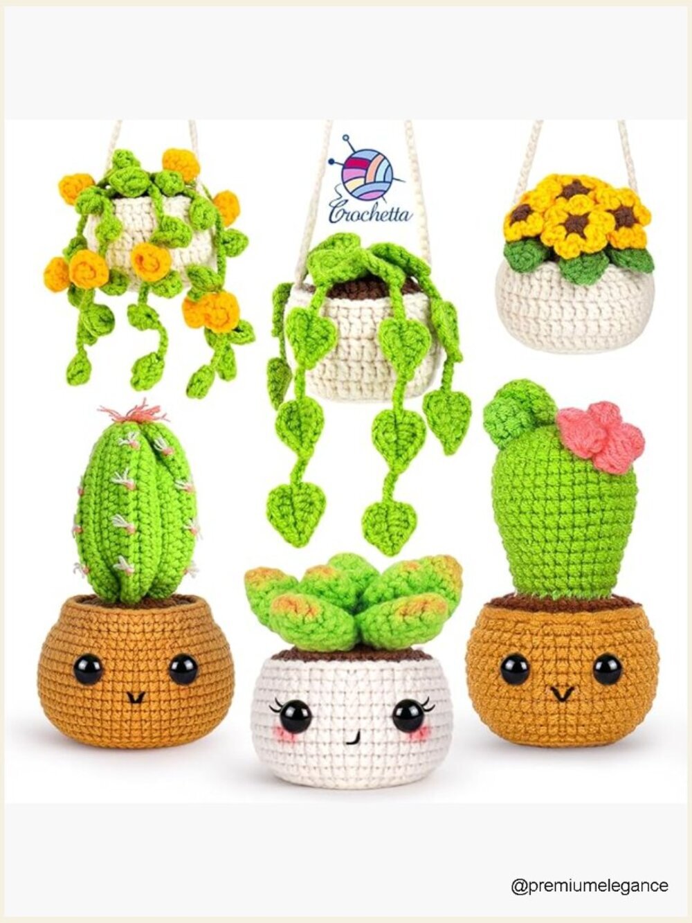 Crochet Kit for Beginners, 6 Potted Plants, Video Tutorials